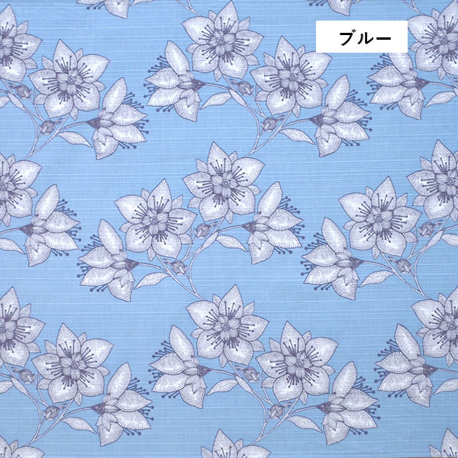 67b94342fd5b072a904e0ff8