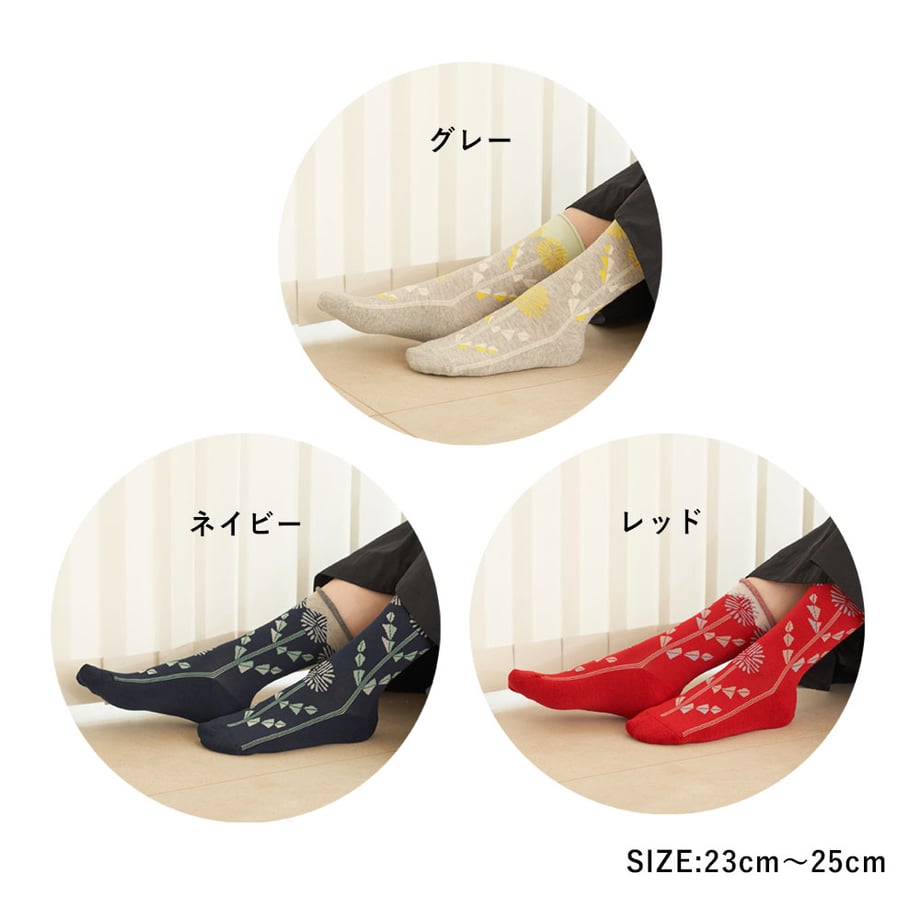 681accf700d7d500019dbb4a