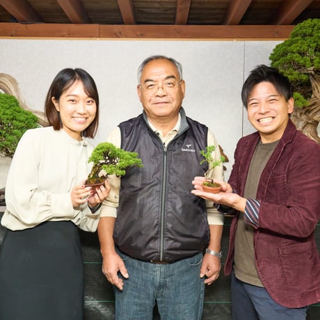 糸魚川ミニ真柏育成セット～育三郎～