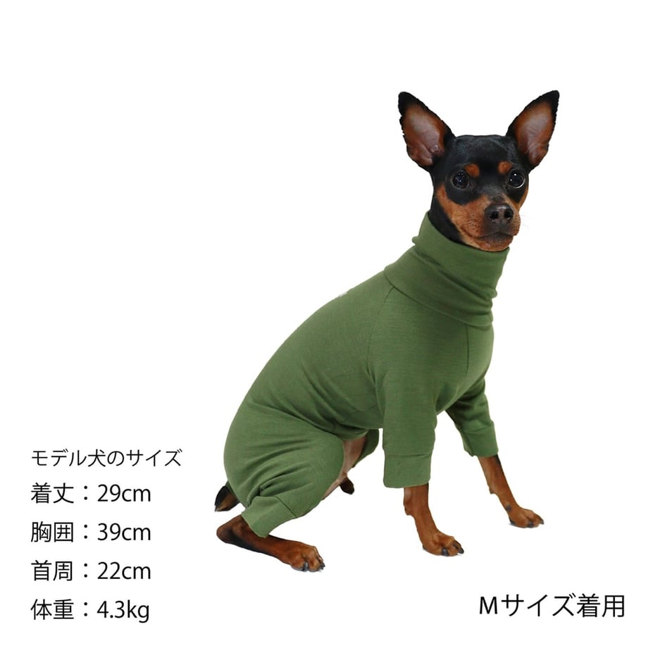 65f27cdfe70d97016d8b475a