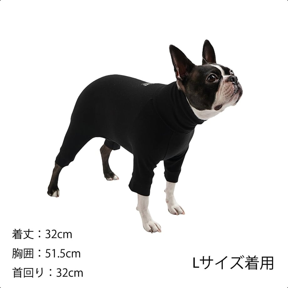 65f27ba626307602d2e301ea
