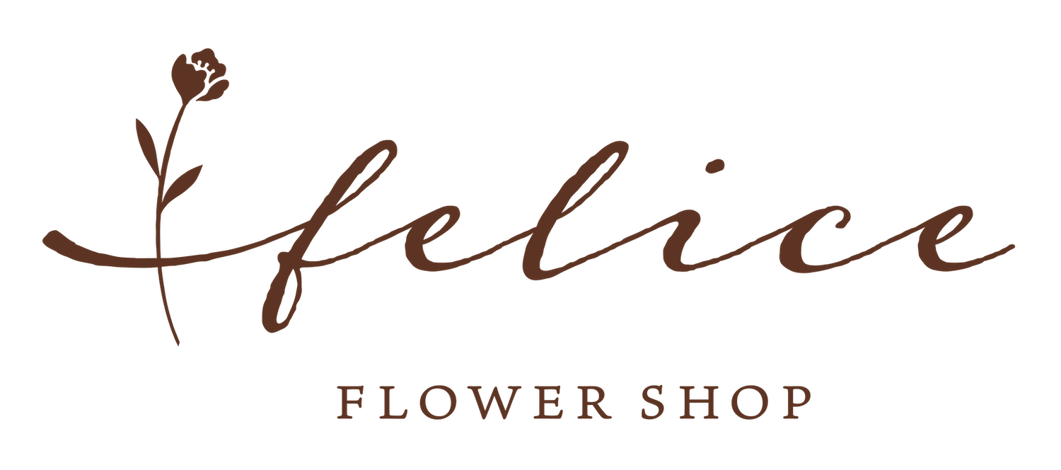 felice stores