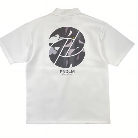 CATEGORY Pendulum | pendulum