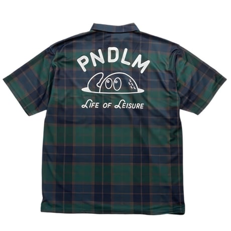 CATEGORY Pendulum | pendulum