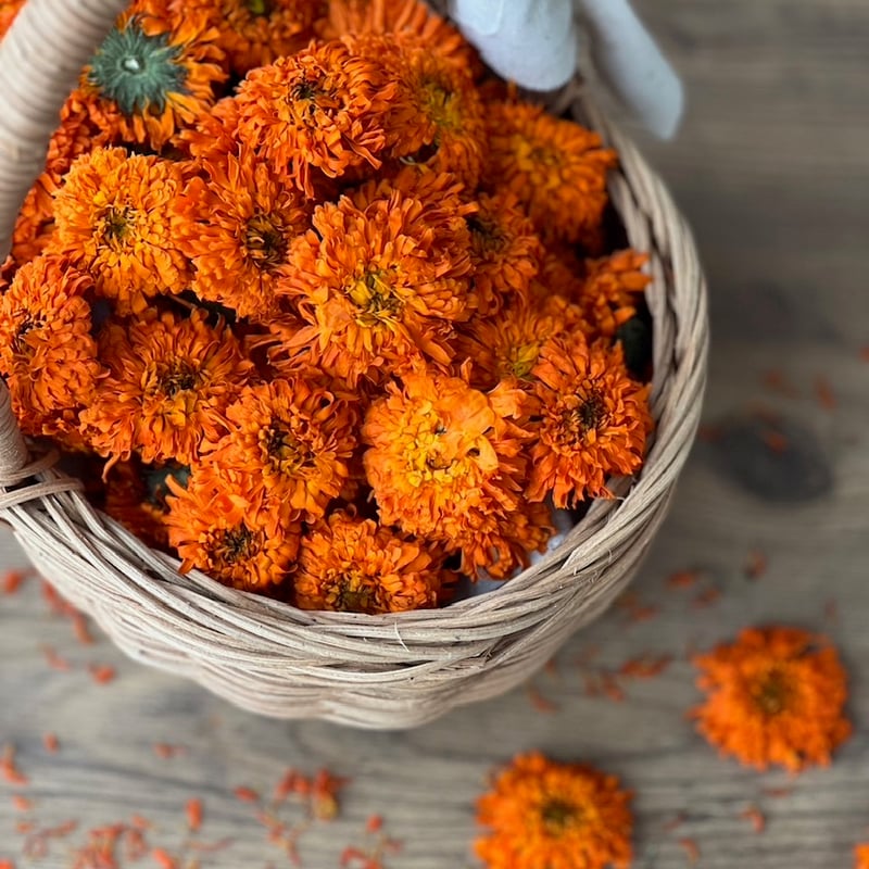 minasapo国産有機栽培ドライハーブ【カレンデュラ（むらじ種