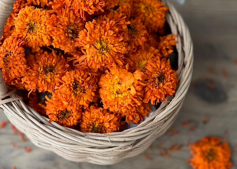 minasapo国産有機栽培ドライハーブ【カレンデュラ（むらじ種