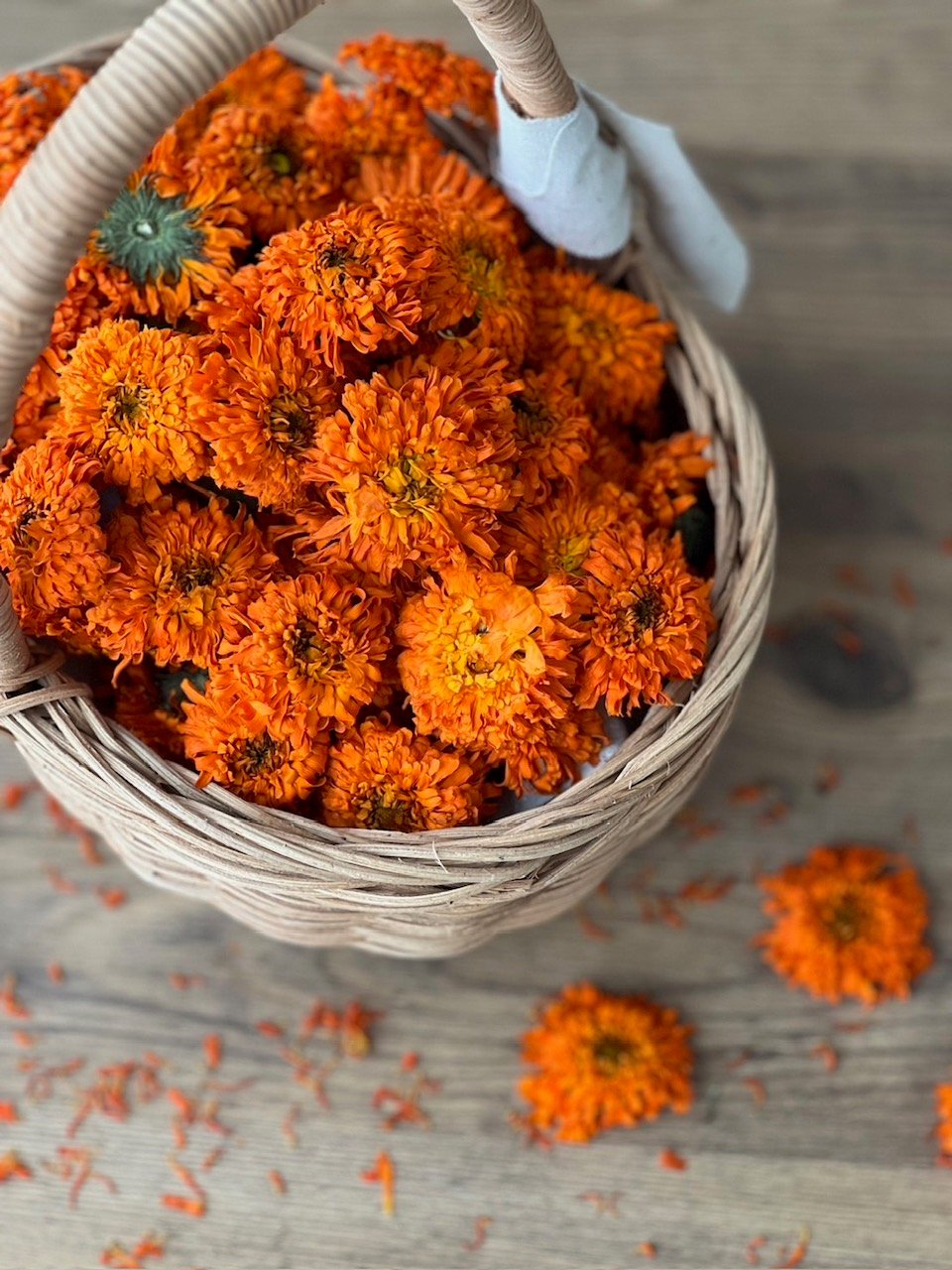 カレンデュラハーブ蒸しセット