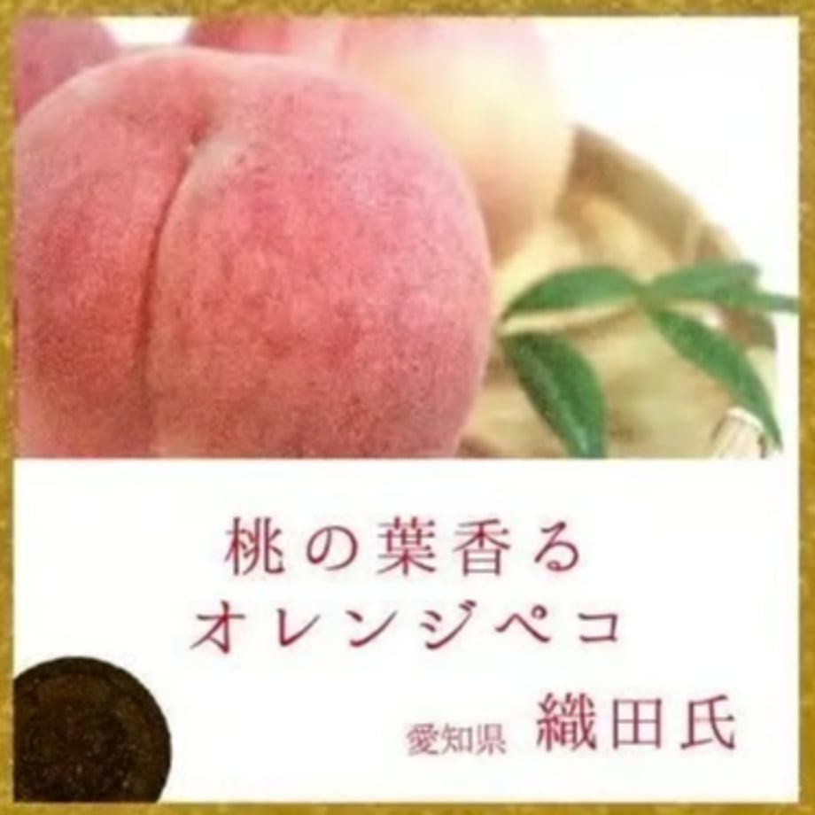 67ce472dfd5b07cb9936e65d