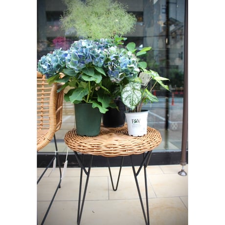 【Bloomingville】Roccas サイドテーブル