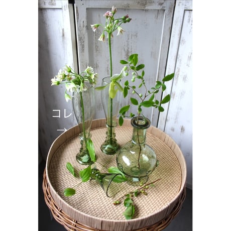 【O4Home】 Eliska ビールグラスフラワーベース