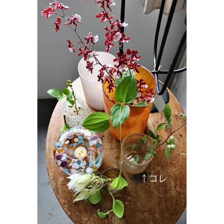 【Bloomingville】バブルグラス　シャンパーニュ