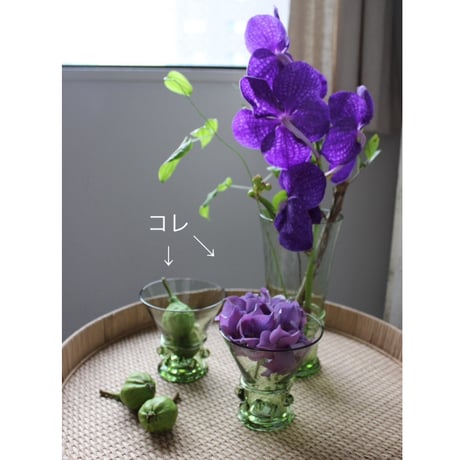 【O4Home】 Eliska　ガラスカップ