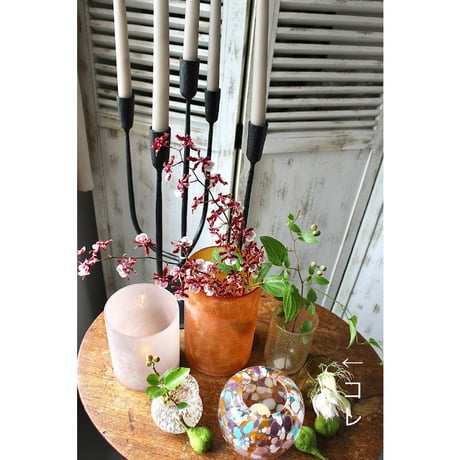 【Bloomingville】 Henrike キャンドルグラス
