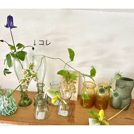 【O4Home】 Eliska ビールグラスフラワーベース