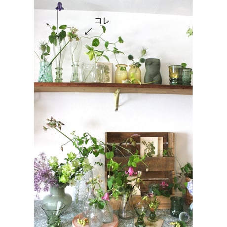 【O4Home】 Eliska ビールグラスフラワーベース