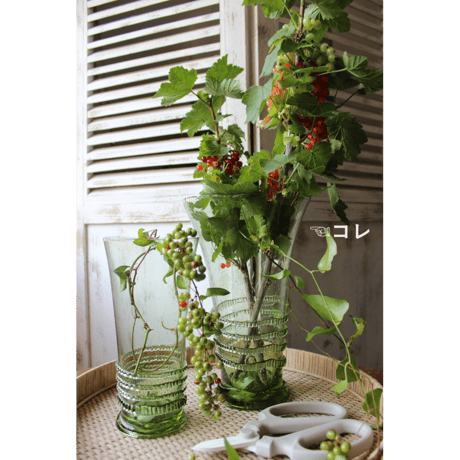 【O4Home】 Eliska ワイドフラワーベース L