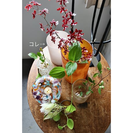 【Bloomingville】 Matcha キャンドルグラス/ローズ