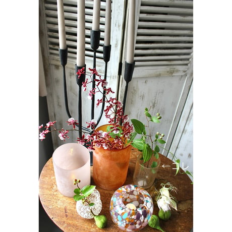 【Bloomingville】バブルグラス　シャンパーニュ