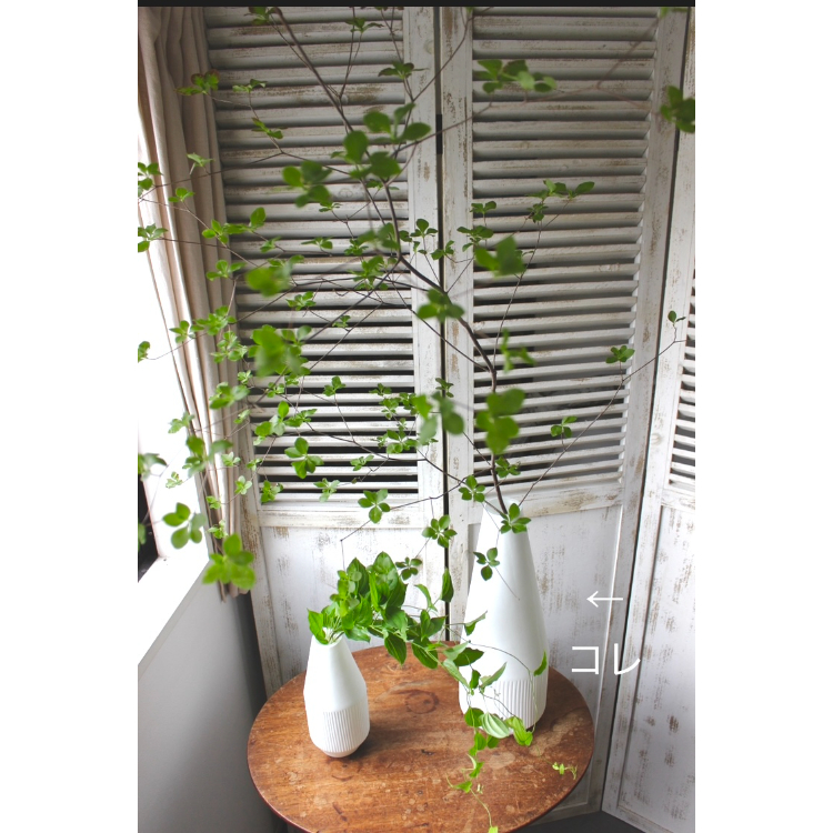 O4Home】Asymmetrical フラワーベース L | La Ruche LIVING