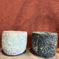 Coral Pot