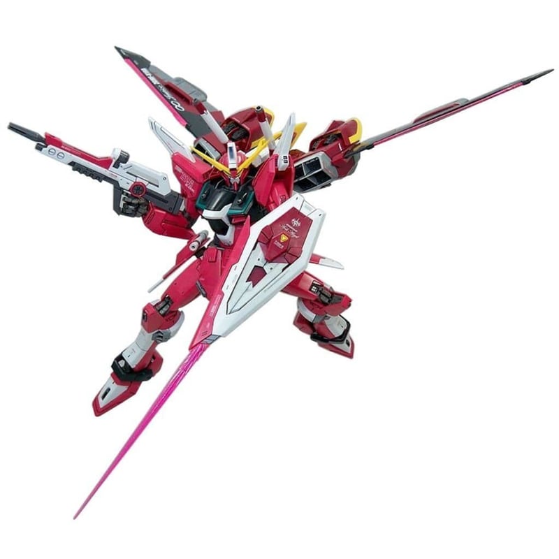 ガンダムSEED DESTINY BANDAI MG 1/100 インフィニット