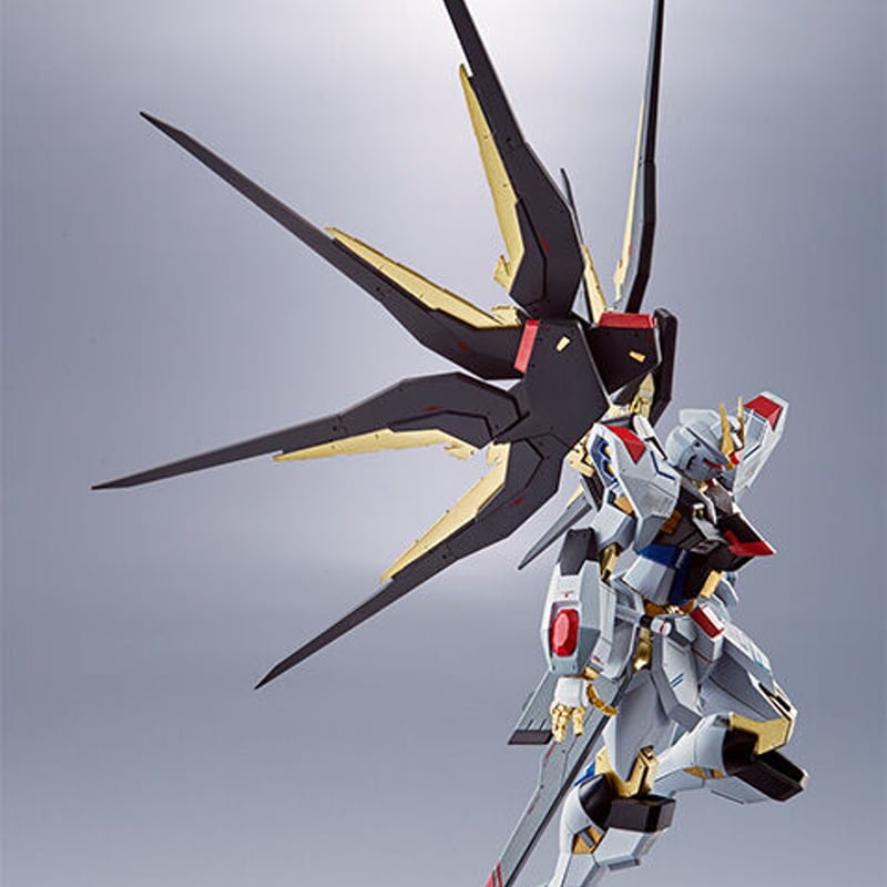 ガンダムSEED DESTINY ガンダムSEED DESTINY 魂ネイション METAL ROBOT魂 ＜SIDE MS＞
