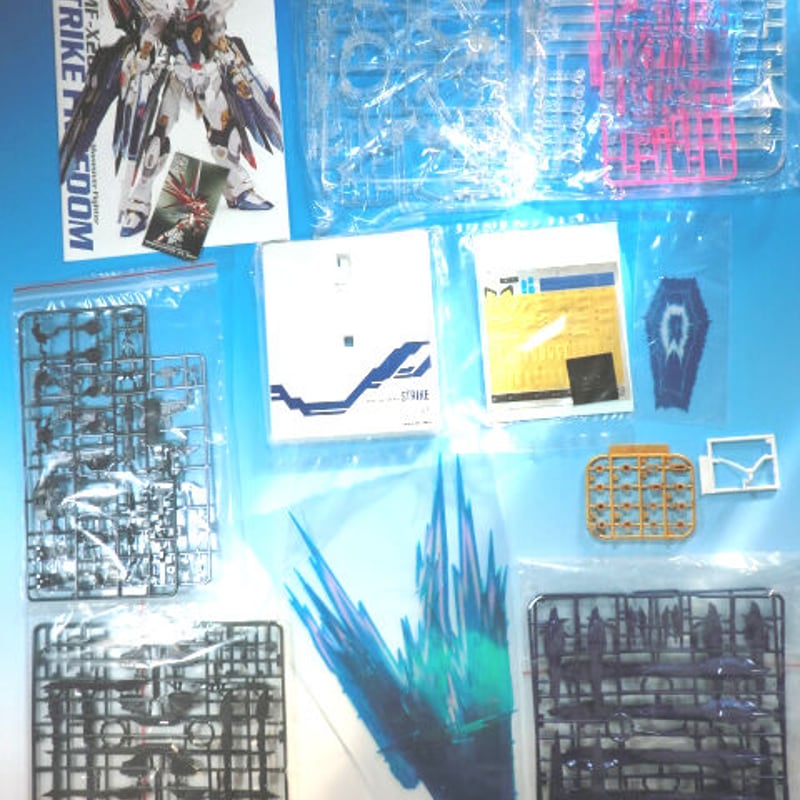 激レア！廃盤 ガンダムSEED DESTINY カスタムデザインガンプラ MG 1