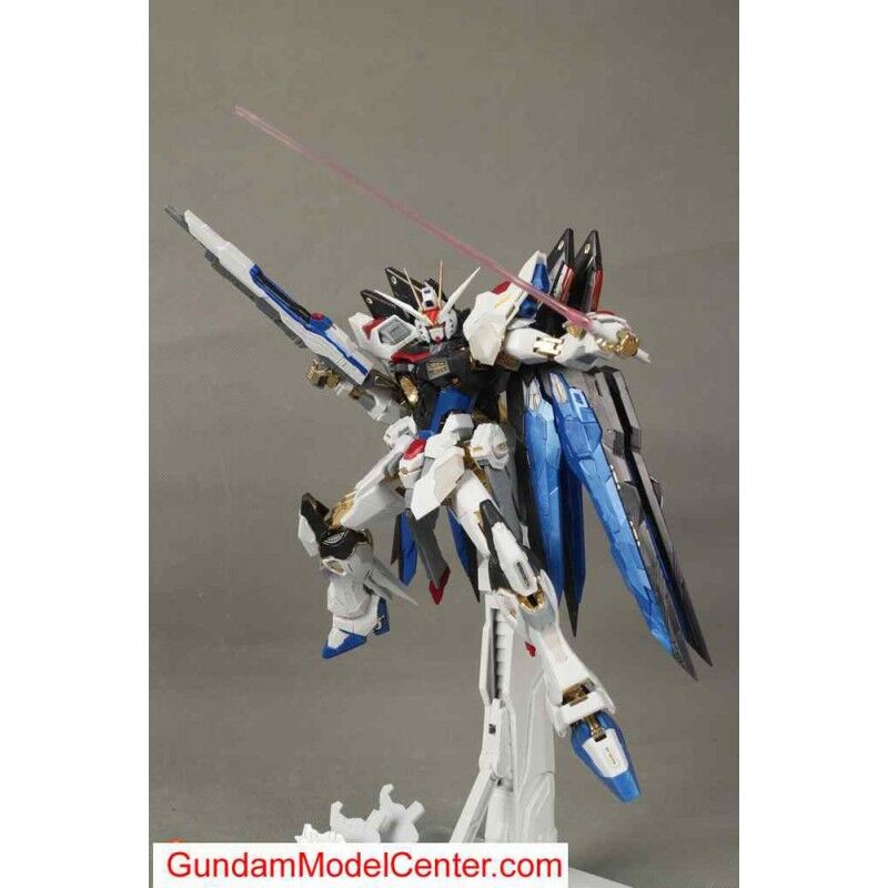 ガンダムSEED DESTINY カスタムデザインガンプラ MG 1/100 ストライク