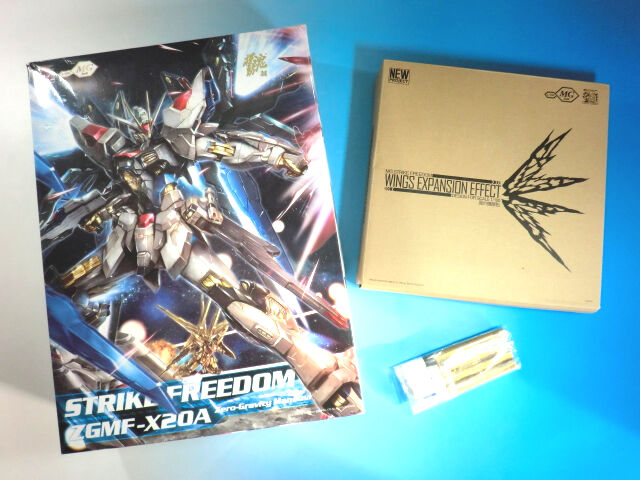 激レア！廃盤 ガンダムSEED DESTINY カスタムデザインガンプラ MG 1