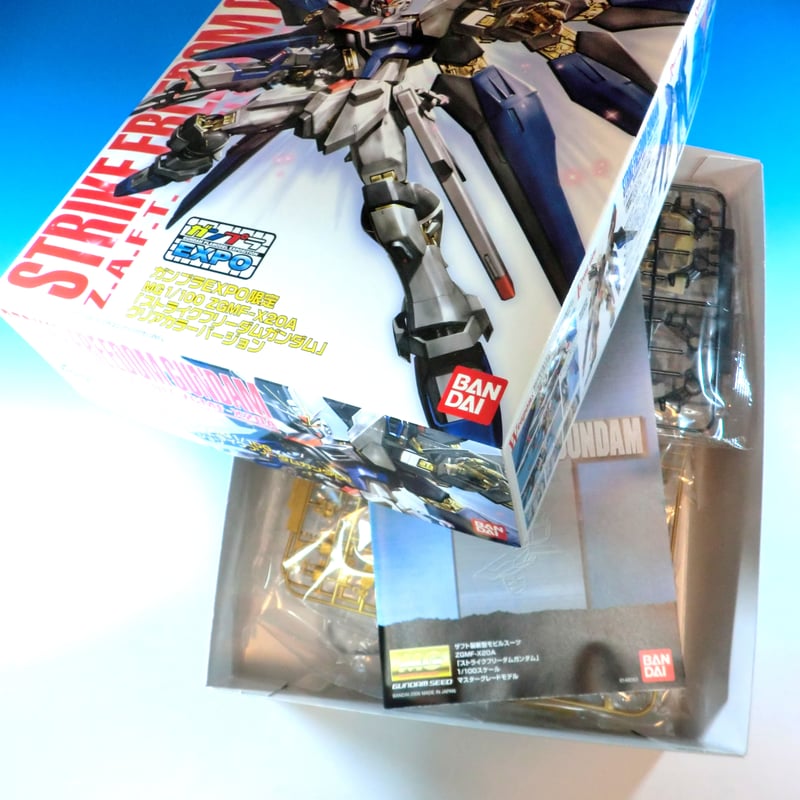 ガンダムSEED DESTINY ガンプラEXPO 2007 BANDAI MG 1/100
