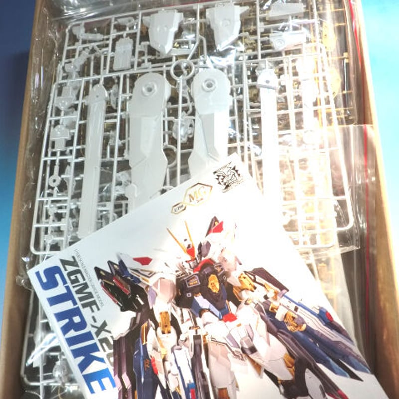 激レア【ガンプラ 】機動戦士 ガンダムシード 激レア【ガンプラ 】機動戦士 ガンダムシード
