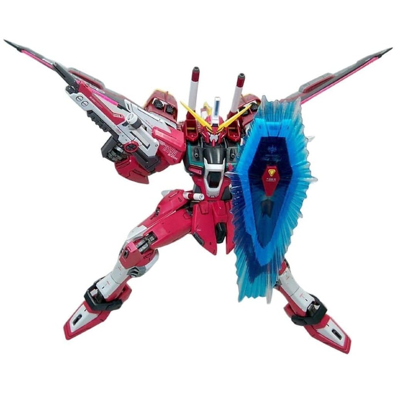 ガンダムSEED DESTINY BANDAI MG 1/100 インフィニット