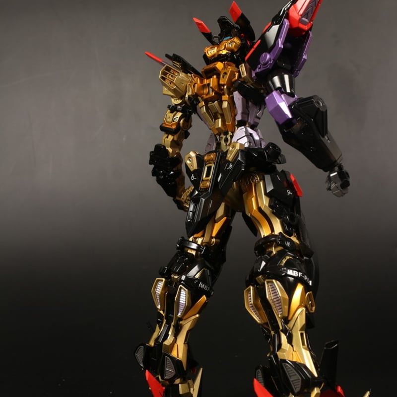 ガンダムSEED ASTRAY カスタムデザインガンプラ MG 1/100 ガンダムSEED ASTRAY カスタムデザインガンプラ MG 1/100