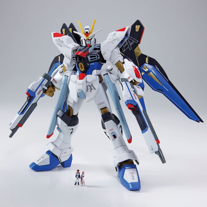 レア！ガンダムSEED DESTINY HG 1/144 ZGMF-X20A ストライクフリー