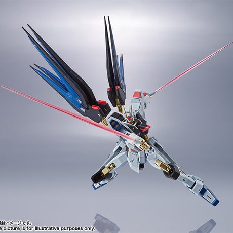 ガンダムSEED DESTINY 魂ネイション METAL ROBOT魂 ＜SIDE MS＞ ストライクフリーダムガンダム G31