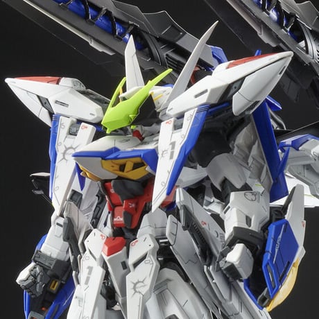 ガンダムSEED ECLIPSE BANDAI MG 1/100 エクリプスガンダム用 ライジンストライカーパック G30