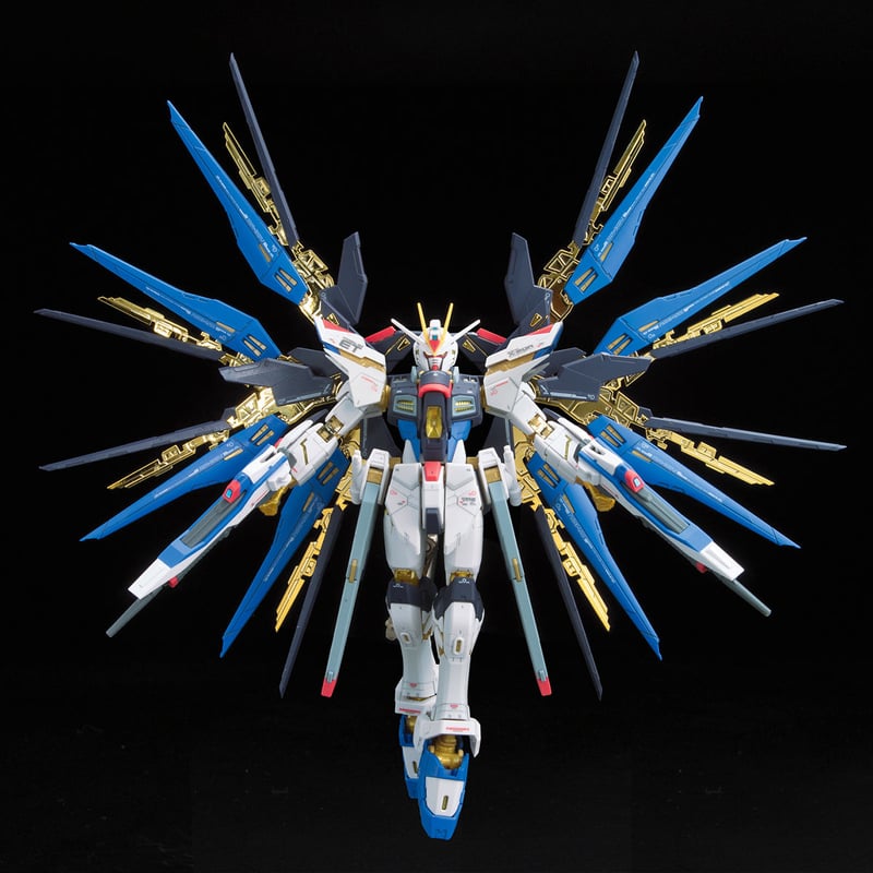 ガンダムSEED DESTINY BANDAI RG 1/144 ストライクフリーダムガンダム...