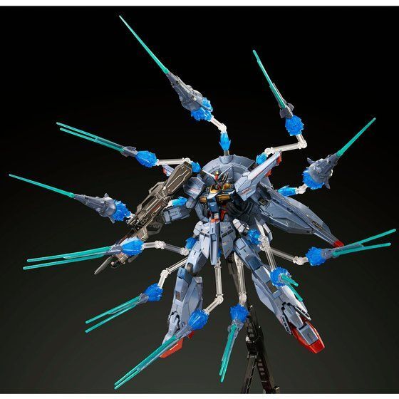ガンダムSEED プレミアムバンダイ限定品 MG 1/100 ガンダムSEED プレミアムバンダイ限定品 MG 1/100