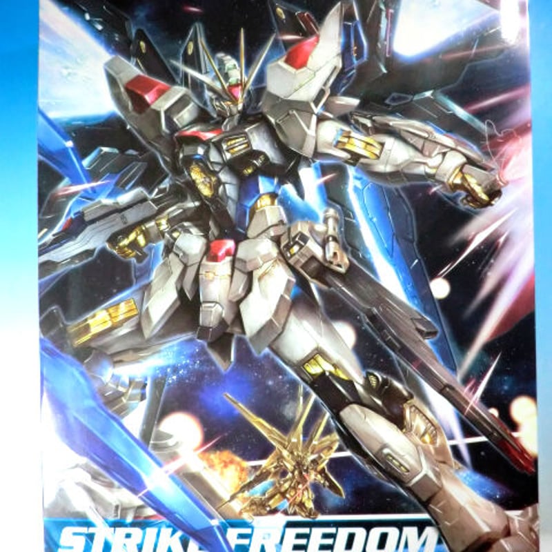 レア！廃盤 ガンダムSEED DESTINY カスタムデザインガンプラ MG 1/100
