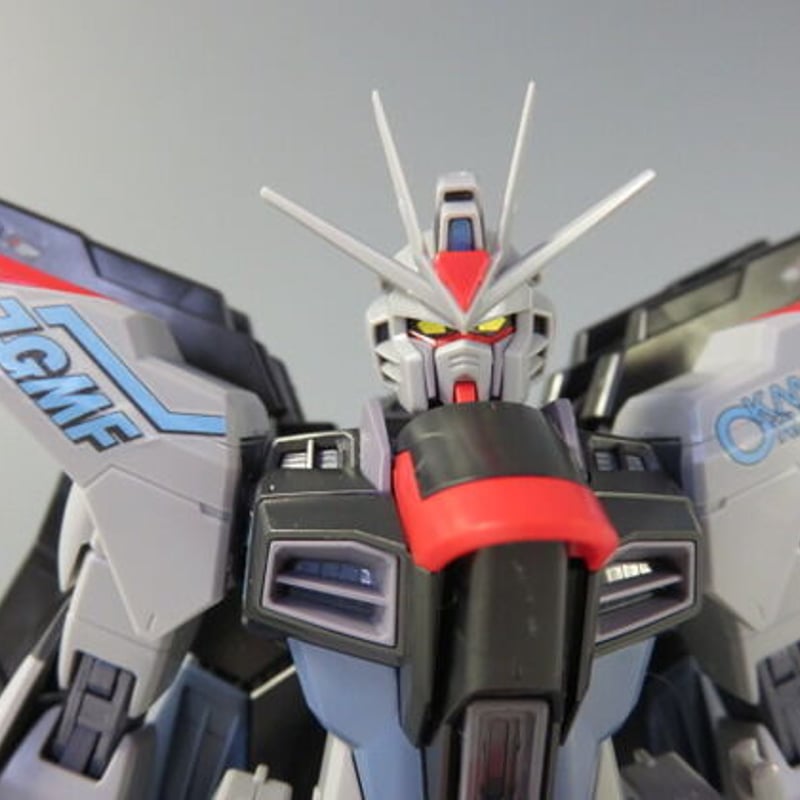 ガンダムSEED DESTINY MG 1/100 BANDAI ストライクフリーダム ガンダムSEED DESTINY MG 1/100 BANDAI ストライクフリーダム