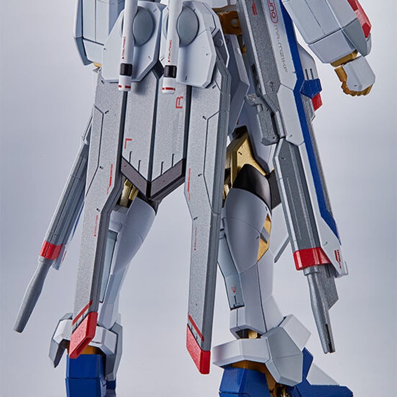 ガンダムSEED DESTINY 魂ネイション METAL ROBOT魂 ＜SIDE MS＞