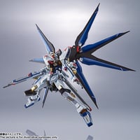 ガンダムSEED DESTINY 魂ネイション METAL ROBOT魂 ＜SIDE MS＞ ストライクフリーダムガンダム G31