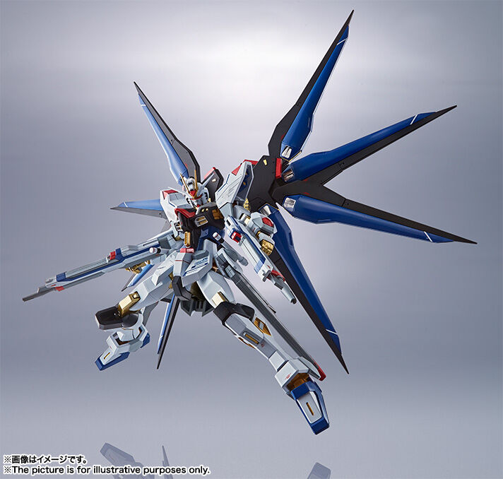 ガンダムSEED DESTINY 魂ネイション METAL ROBOT魂 ＜SIDE MS＞