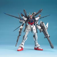 レア！ガンダムSEED ASTRAY BANDAI MG 1/100 ストライクE＋I.W.S.P.(ルカス・オドネル専用機) G29