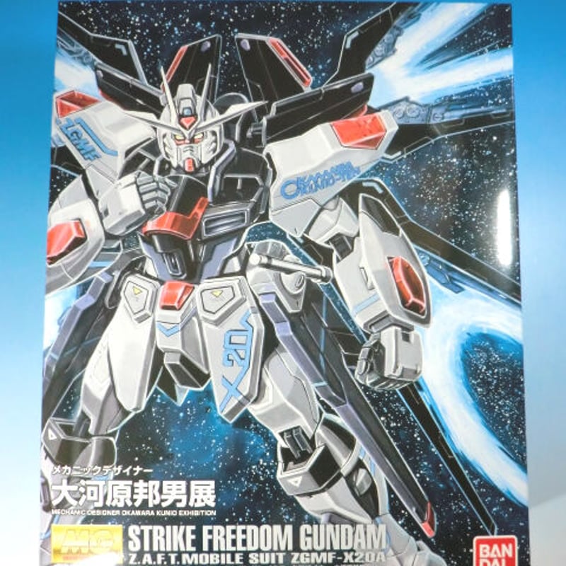ガンダムSEED DESTINY MG 1/100 BANDAI ストライクフリーダム