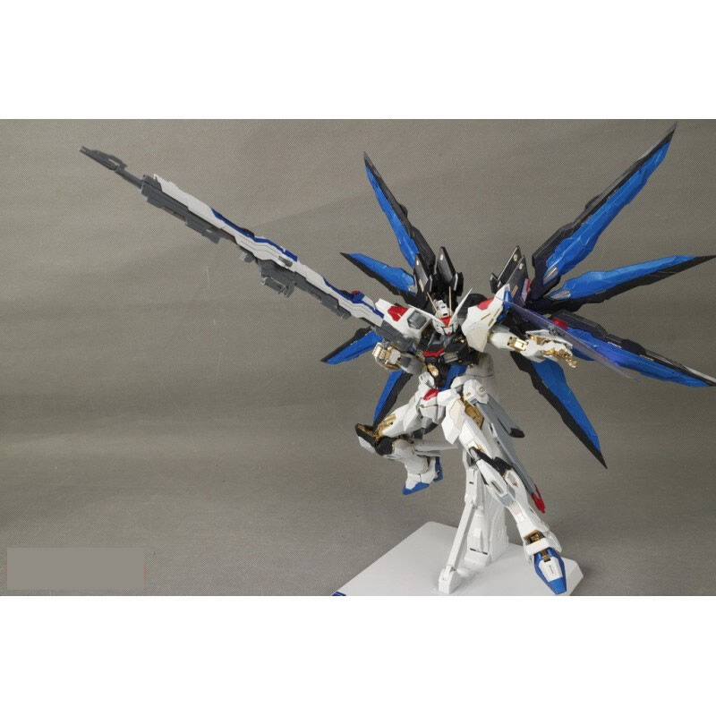ガンダムSEED DESTINY カスタムデザインガンプラ MG 1/100 ストライク
