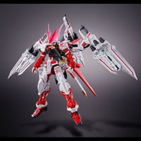 ガンダムSEED ASTRAY プレミアムバンダイ限定 MG 1/100 ガンダムアストレイ レッドドラゴン G29