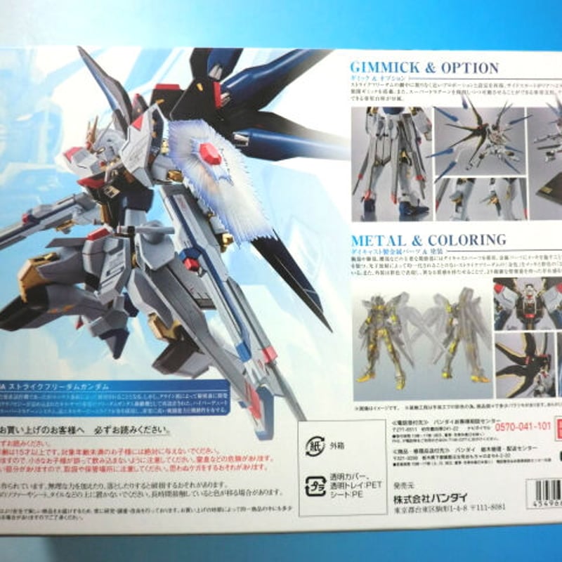 ガンダムSEED DESTINY 魂ネイション METAL ROBOT魂 ＜SIDE MS＞