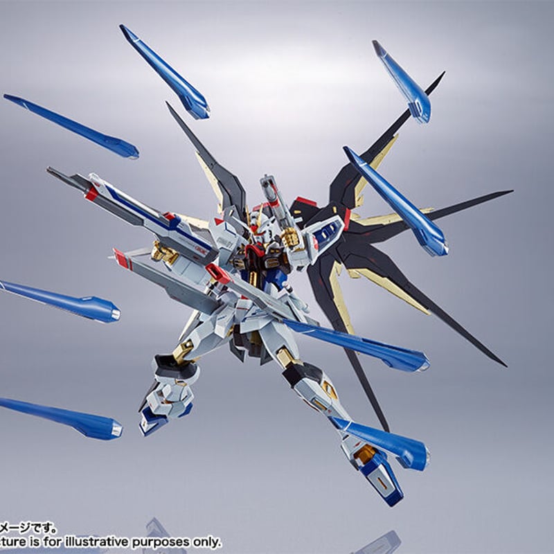 ガンダムSEED DESTINY 魂ネイション METAL ROBOT魂 ＜SIDE MS＞