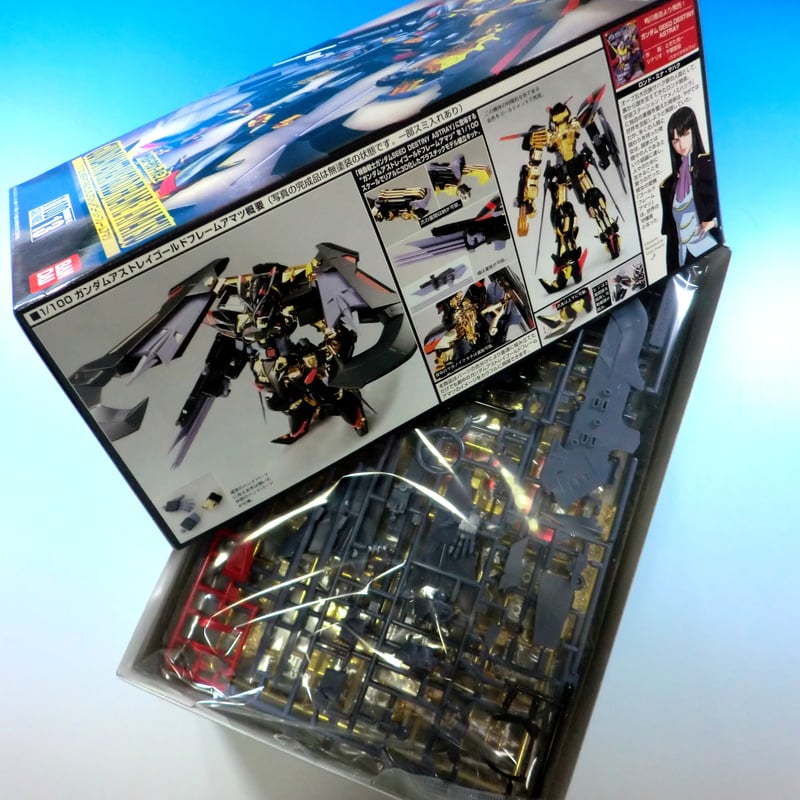 ガンダムSEED DESTINY BANDAI ASTRAY 1/100 ガンダムアストレイ ガンダムSEED DESTINY BANDAI ASTRAY 1/100 ガンダムアストレイ
